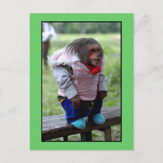 52170 POSTKARTE (Vorderseite)