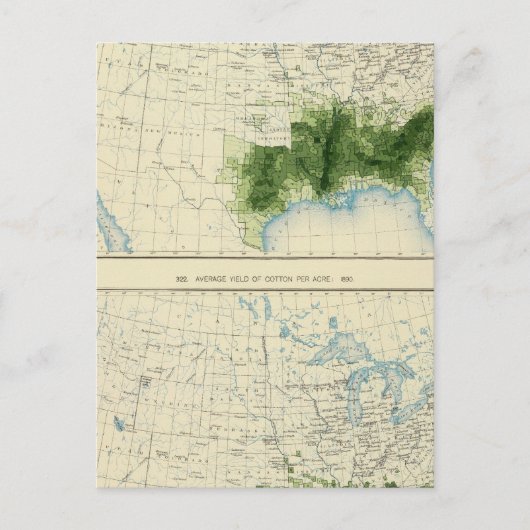 52 Baumwolle 1890 Postkarte (Vorderseite)