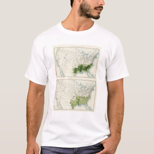 52 Baumwolle 1890 T-Shirt (Vorderseite)