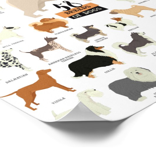 52 Hunde-Poster Poster (Ecke)