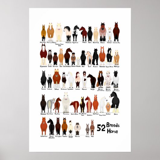 52 Pferderassen-Diagramm Poster (Vorne)