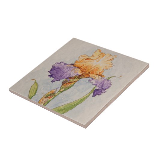 5310 Lila und Goldiris Fliese (Seite)