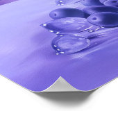 532 Stillleben Poster (Ecke)