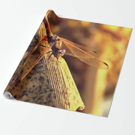 534424932Elegant Red Darter Dragonfly Insekt Art Geschenkpapier (Ungerollt)