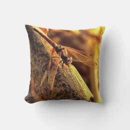 534424932Elegant Red Darter Dragonfly Insekt Art Kissen