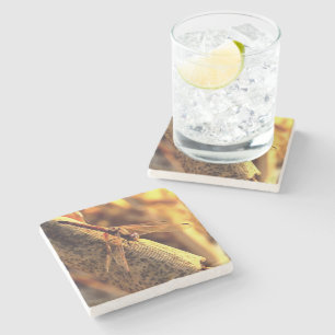 534424932Elegant Red Darter Dragonfly Insekt Art Steinuntersetzer