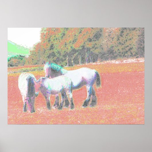 53 POSTER (Vorne)