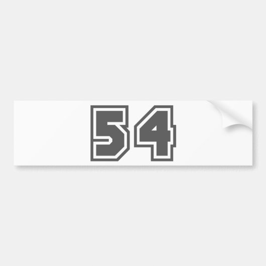 54 AUTOAUFKLEBER (Vorne)