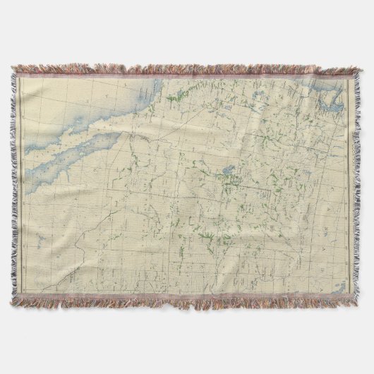 54 Bereiche bewässerten 1889 Decke (Vorderseite)