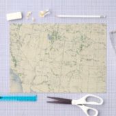 54 Bereiche bewässerten 1889 Seidenpapier (Handwerk)