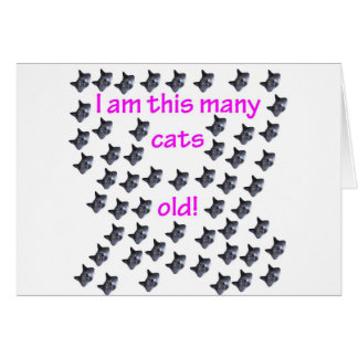 54 Katzen-Köpfe alt