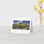 550 zum silverton karte (Gelbe Blume)