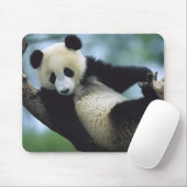 557711600wb1fp3 mousepad (Mit Mouse)