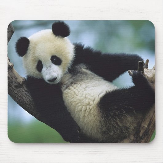 557711600wb1fp3 mousepad (Vorne)