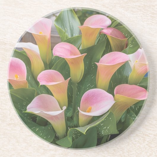 55. Hochzeit Jubiläum Pink Calla Lily Getränkeuntersetzer (Vorne)