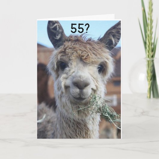 **55*** ICH KANN NICHT GLAUBEN, DASS ES LLAMA KART KARTE (Vorderseite)