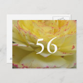 56. Geburtstag Postkarte (Vorne/Hinten)