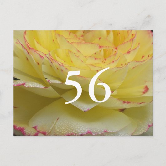 56. Geburtstag Postkarte (Vorderseite)