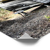 56 Shasta Print Poster (Ecke)