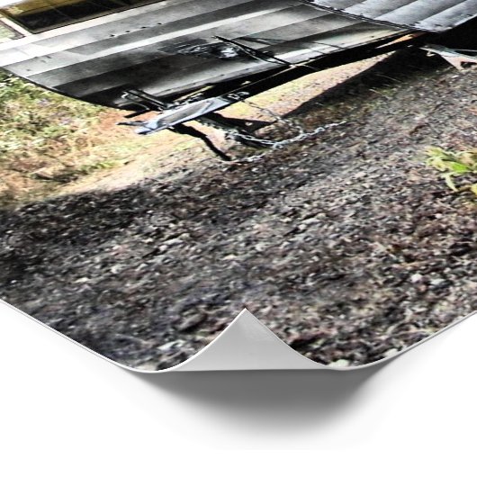 56 Shasta Print Poster (Ecke)