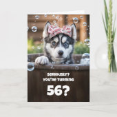 56th Birthday Cute and Funny Husky Dog Karte (Vorderseite)