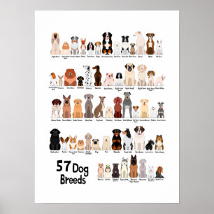 57 Hunde-Zuchtposter Poster