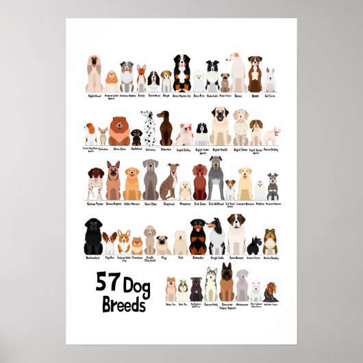 57 Hunde-Zuchtposter Poster (Vorne)