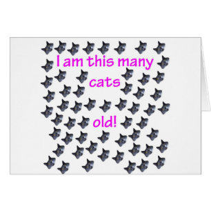 57 Katzen-Köpfe alt