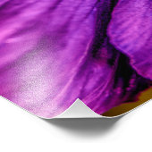 5884-Lila Pansy Fotodruck (Ecke)