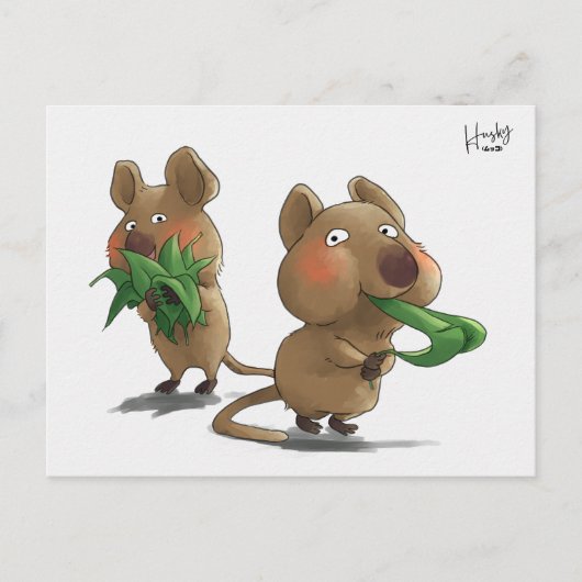 58: Quokkas Postkarte (Vorderseite)