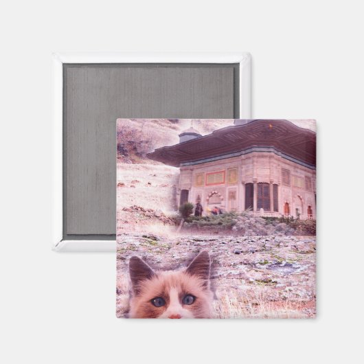 5,1 cm Square Magnet Cat (Vorderseite/Rückseite)