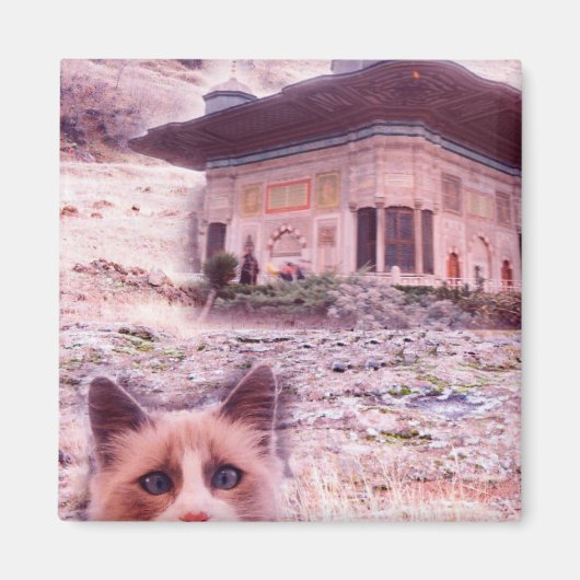 5,1 cm Square Magnet Cat (Vorne)