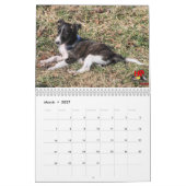 5 2016 seidener Windhound Welpen-Kalender Kalender (Mär 2027)