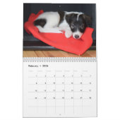 5 2016 seidener Windhound Welpen-Kalender Kalender (Feb 2026)