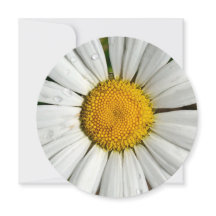 5.25 x 5.25 Einladungskreis