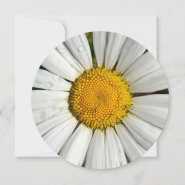 5.25 x 5.25 Einladungskreis Einladung