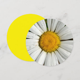 5,25 x 5,25 Einladungskreis Einladung