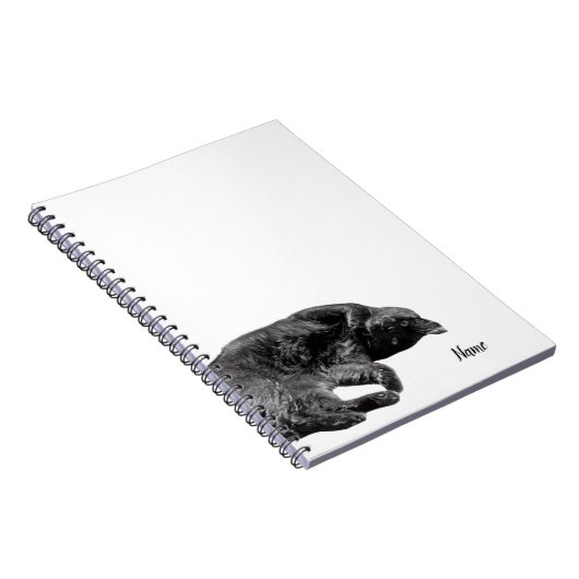 5,5" x 8,5" Black Cat Spiral-Hardcover-Notebook Notizblock (Rechte Seite)