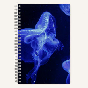 5,5" x 8,5" SpiralNoteboot Notizblock