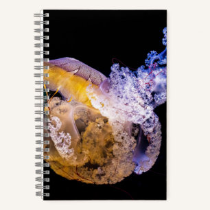 5,5" x 8,5" SpiralNoteboot Notizblock