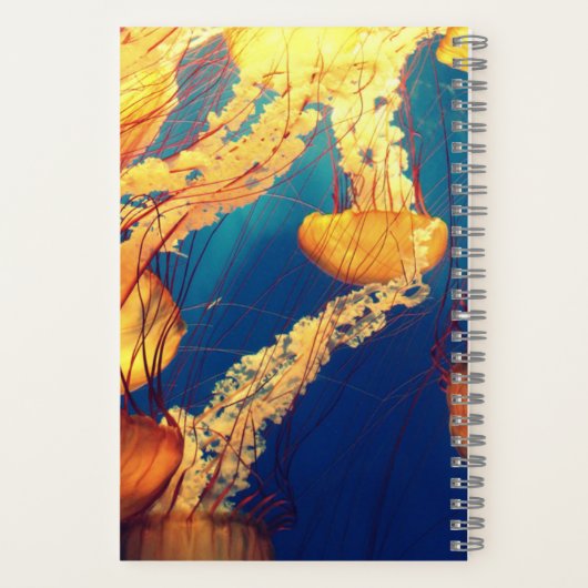 5,5" x 8,5" SpiralNoteboot Notizblock (Rückseite)