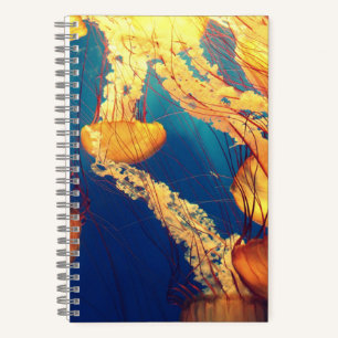 5,5" x 8,5" SpiralNoteboot Notizblock