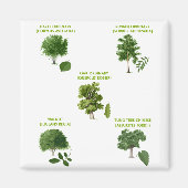 5 Bäume Magnet (Vorne)