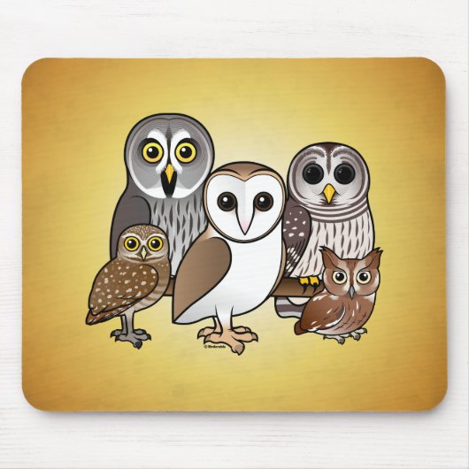5 Birdorable Eulen Mousepad (Vorne)