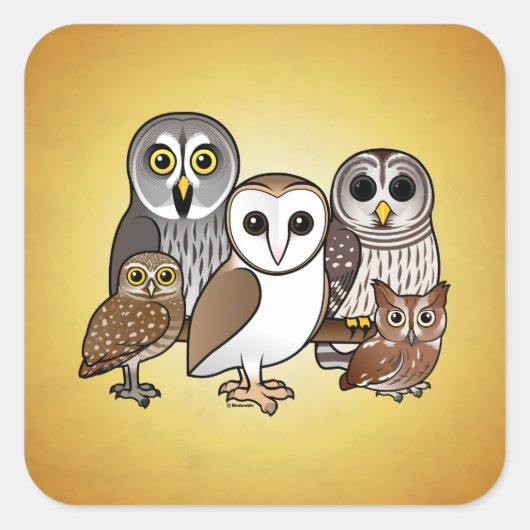 5 Birdorable Owls Quadratischer Aufkleber (Vorderseite)