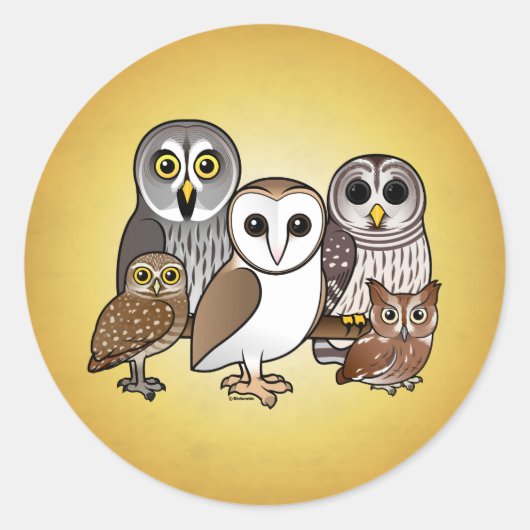 5 Birdorable Owls Runder Aufkleber (Vorderseite)