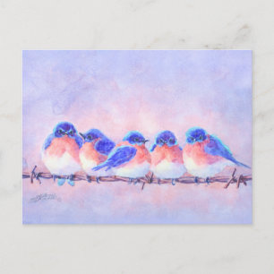 5 BLUEBIRDS AUF EINEM WIRT VON SHARON SHARPE POSTKARTE