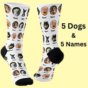 5 Dogs, 5 Names, Dog Photo - Personalized White  Socken