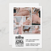 5 Foto Weihnachtsbaum Schwangerschaft Ankündigung (Vorne/Hinten)