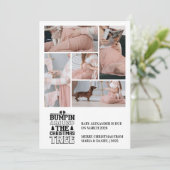 5 Foto Weihnachtsbaum Schwangerschaft Ankündigung (Stehend Vorderseite)